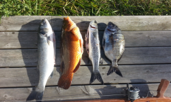 Un jour de peche sous marine Un jour de peche sous marine